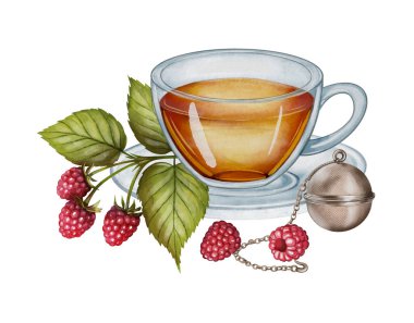  Ahududu yapraklı, olgun böğürtlenli ve suluboya çizim yapan bir fincan çay. Çay ambalajı, mutfak dekorasyonu, bitkisel ürün tasarımı ve kafe markası için uygundur..