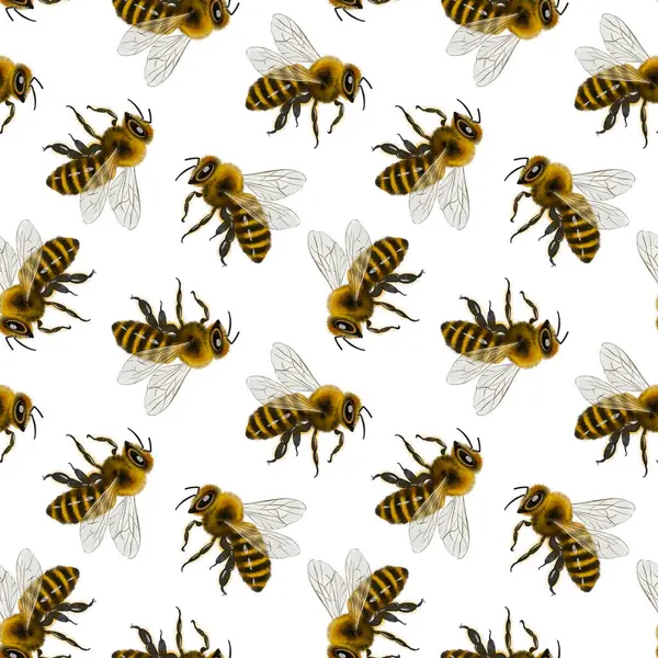 Arı deseni, dijital suluboya şeklinde çizilmiş. Kumaş, ambalaj kağıdı, yapıştırma kitabı, kartlar, baskı, geçmiş, ambalaj, davetiyeler ve mevsimlik dekorasyonlar için mükemmel.