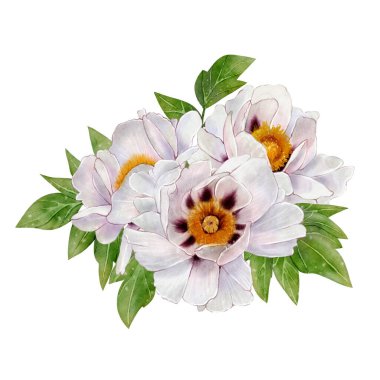 Yeşil yapraklı ve sarı-mor merkezli beyaz şakayık buketi. Beyaz arka planda elle çizilmiş suluboya çiçek çizimi. Düğün tasarımı, kartlar, tekstil ve ambalaj için uygun.