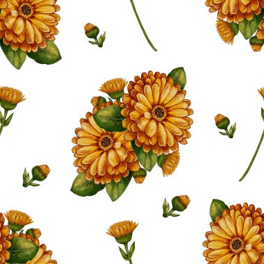 Takvim çiçekleri, yeşil yapraklar ve çiçek tomurcuklarıyla kusursuz desen. El yapımı botanik çizimi. Suluboya: Tekstil, ambalaj ve doğal ürün tasarımı için mükemmel.