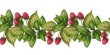 Olgun böğürtlen ve yeşil yapraklarla dijitalli suluboya şeklinde çizilmiş kusursuz ahududu sınırı. Paketleme, tekstil, tebrik kartları ve yaz tasarımı için harika..