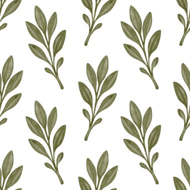 Elle suluboya ile boyanmış yeşil yapraklı dalları olan pürüzsüz bir desen. Beyaz arka planda tekrarlanan botanik elementler. Kumaş, ambalaj ve eko tasarım projeleri için mükemmel.