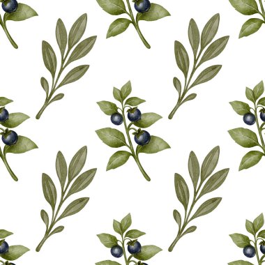 Belladonna dalları ve yeşil yapraklarla kusursuz desen. Botanik suluboya çizimi. Beyaz arka planda elle boyanmış zehirli bitki. Tekstil, ambalaj ve dijital arkaplan için ideal.