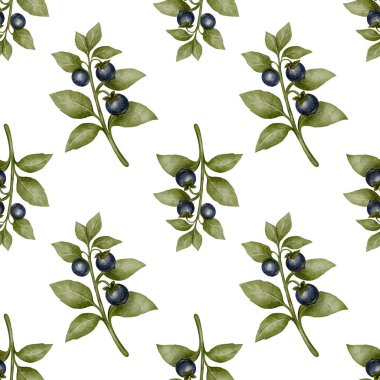 Belladonna dalları ve koyu böğürtlenli kusursuz desen. Suluboya botanik illüstrasyon. El yapımı zehirli bitki beyaz arka planda izole edilmiş. Kumaş, duvar kağıdı ve dekorasyon için mükemmel..