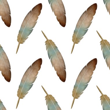 Kahverengi ve mavi kuş tüyleriyle kusursuz desen. El yapımı suluboya çizimi. Klasik boho tarzı. Beyaz arka plan. Tekstil tasarımı, ambalaj kağıdı ve dijital dekorasyon için ideal.
