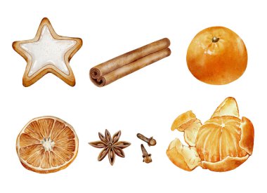 Beyaz arka planda mandalina, baharat, koni ve zencefilli kurabiye ile suluboya seti. Noel tasarımı, ambalaj, kartpostallar ve kış süsleri için elverişli