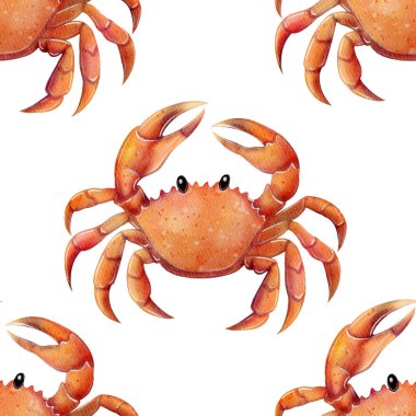 Seamless pattern with red crabs painted in watercolor. White background. Perfect for seafood packaging, kids design, summer decorations, beach-themed projects, fabric and wrapping paper.