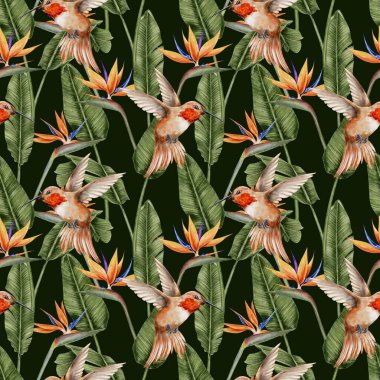 Sinekkuşu, strelitzia ve tropikal yapraklar koyu arka planda dikişsiz. Tekstil, kumaş, duvar kağıdı, kart, ambalaj, parti için suluboya çizimi.