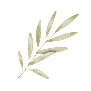 Beyaz yapraklı şirin yeşil bir dal. Tekstil, dekorasyon, çocuk partileri, doğum günü, Paskalya.