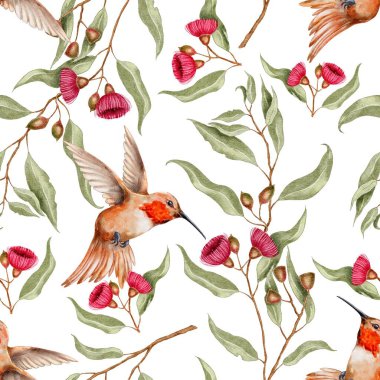 Tropik sinekkuşu, okaliptüs, beyaz arka planda dikişsiz çiçek deseni. Tekstil, kumaş, duvar kağıdı, kart, ambalaj, parti için suluboya çizimi.