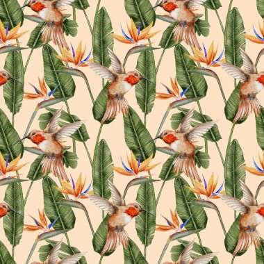 Sinekkuşu, strelitzia ve tropikal yapraklar, dikişsiz el çizimi. Tekstil, kumaş, duvar kağıdı, kart, ambalaj, parti için suluboya çizimi.