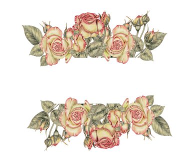 Sarı ve pembe güller ve tomurcuklar ve yeşil yapraklar çerçevesi. Kartlar, davetiyeler, tatiller için suluboya resim İlkbahar, doğum günü, Sevgililer Günü, düğün veya Anneler Günü.