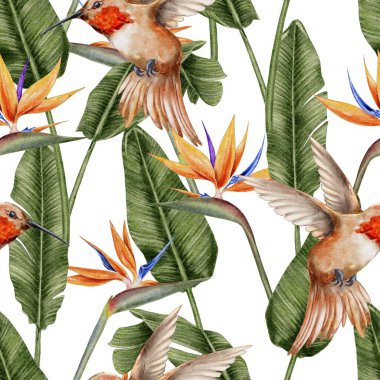 Sinekkuşu, strelitzia ve tropikal yapraklar beyaza çizilmiş palmiye yaprakları. Tekstil, kumaş, duvar kağıdı, kart, ambalaj, parti için suluboya çizimi.