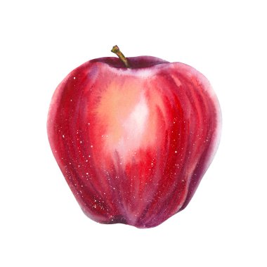 Yumuşak röfleli ve benekli desenli olgun kırmızı elmanın suluboya çizimi. Gıda markalaşması, eko ambalaj, çiftçi pazarı tasarımı, mevsimlik dekor ve sağlık ürünleri için uygundur..