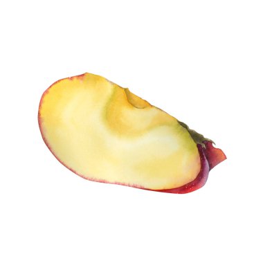 Yumuşak röfleli ve benekli desenli olgun kırmızı elmanın suluboya çizimi. Gıda markalaşması, eko ambalaj, çiftçi pazarı tasarımı, mevsimlik dekor ve sağlık ürünleri için uygundur..