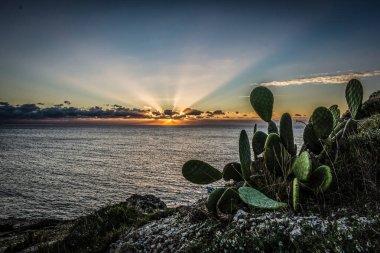 Denizde gün batımında kayalar ve kaktüsler ön planda.