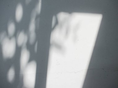 Işıklı ve gölgeli bir duvar. Soyut yaprak gölgesi ve ışık bulanık arkaplan