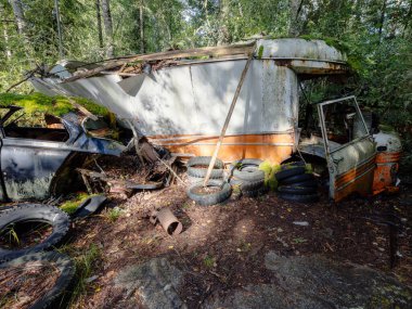 Yeşil yosunlu nemli ormanda terk edilmiş eski paslı arabalar.