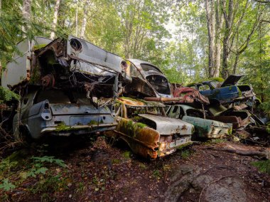 Yeşil yosunlu nemli ormanda terk edilmiş eski paslı arabalar.