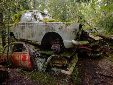 Yeşil yosunlu nemli ormanda terk edilmiş eski paslı arabalar.