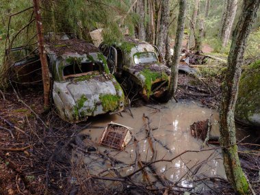 Yeşil yosunlu nemli ormanda terk edilmiş eski paslı arabalar.