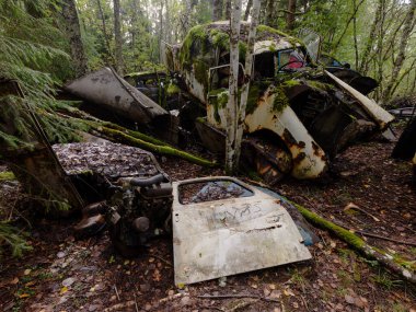 Yeşil yosunlu nemli ormanda terk edilmiş eski paslı arabalar.