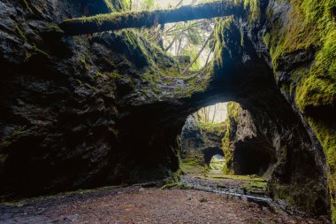Rusya 'nın kuzeyindeki eski şehir Kostroma' nın güzel bir manzarası.