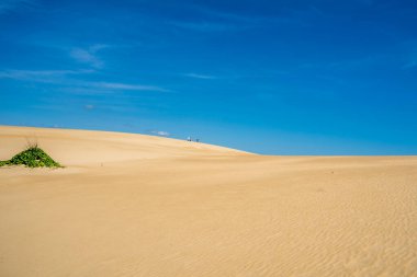Jockey 's Ridge State Park, Kuzey Carolina' daki Nags Head 'de, Atlantik kıyısında yaşayan en uzun kum tepeciklerine ev sahipliği yapar. Açık havada uçmak, uçurtma uçurmak, yürüyüş yapmak ve çarpıcı gün batımlarını izlemek gibi aktiviteler için popüler bir yerdir.