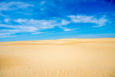 Jockey 's Ridge State Park, Kuzey Carolina' daki Nags Head 'de, Atlantik kıyısında yaşayan en uzun kum tepeciklerine ev sahipliği yapar. Açık havada uçmak, uçurtma uçurmak, yürüyüş yapmak ve çarpıcı gün batımlarını izlemek gibi aktiviteler için popüler bir yerdir.