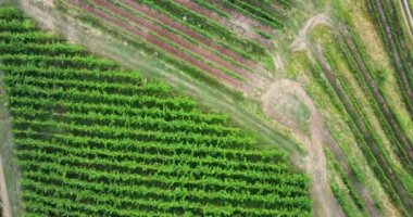 İtalya 'da bir İHA ile yeşil alanların üzerinde uçuyorlar. Gündüz tepeden aşağı görünüm