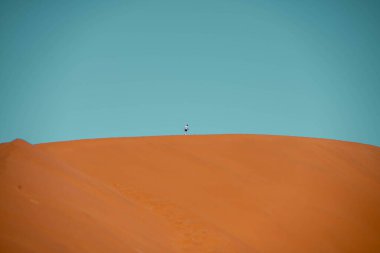 Arka planda bir kadın ve bir ağacın olduğu güzel manzara, sossusvlei, namibya