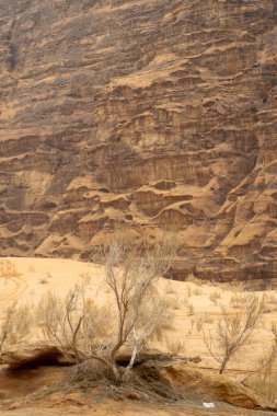 Vadi Jordan 'ın güzel dağ manzarası