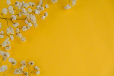 Küçük beyaz bir çiçek, düz siyah bir arkaplanda metin boşluğu ile düzenlenmiş. alıntı kavramı