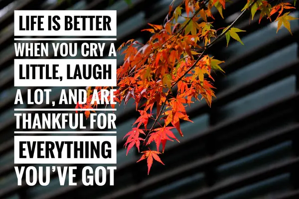 İlham motivasyonu hayat, eğitim, doğa hakkında öğrenme hakkında bir alıntı. Olumlu bir alıntı. Yaşam, bilgelik, pozitif, mutluluk, güçlendirme, başarı, motivasyon ve ilham alıntıları hakkında en iyi motivasyon alıntıları.