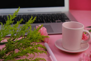 Üzerinde pembe gül tomurcukları olan üst görüntü, gypthe, huzurlu bir pastel arka planda mesaj, aşk ve romantik konsept için metin alanı ile birlikte.