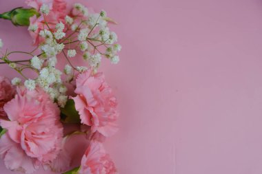 Üzerinde pembe gül tomurcukları olan üst görüntü, gypthe, huzurlu bir pastel arka planda mesaj, aşk ve romantik konsept için metin alanı ile birlikte.