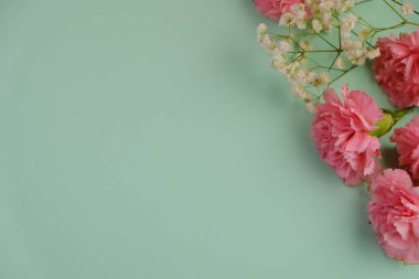 Üzerinde pembe gül tomurcukları olan üst görüntü, gypthe, huzurlu bir pastel arka planda mesaj, aşk ve romantik konsept için metin alanı ile birlikte.