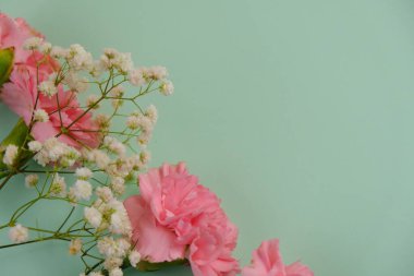 Üzerinde pembe gül tomurcukları olan üst görüntü, gypthe, huzurlu bir pastel arka planda mesaj, aşk ve romantik konsept için metin alanı ile birlikte.