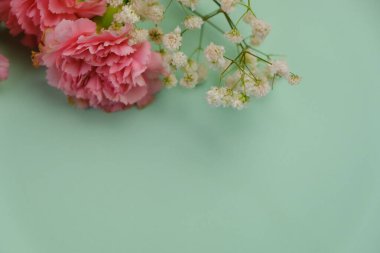 Üzerinde pembe gül tomurcukları olan üst görüntü, gypthe, huzurlu bir pastel arka planda mesaj, aşk ve romantik konsept için metin alanı ile birlikte.