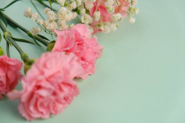 Üzerinde pembe gül tomurcukları olan üst görüntü, gypthe, huzurlu bir pastel arka planda mesaj, aşk ve romantik konsept için metin alanı ile birlikte.