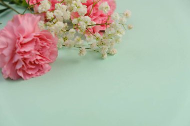 Üzerinde pembe gül tomurcukları olan üst görüntü, gypthe, huzurlu bir pastel arka planda mesaj, aşk ve romantik konsept için metin alanı ile birlikte.