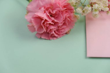 Üzerinde pembe gül tomurcukları olan üst görüntü, gypthe, huzurlu bir pastel arka planda mesaj, aşk ve romantik konsept için metin alanı ile birlikte.