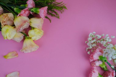 Üzerinde pembe gül tomurcukları olan üst görüntü, gypthe, huzurlu bir pastel arka planda mesaj, aşk ve romantik konsept için metin alanı ile birlikte.