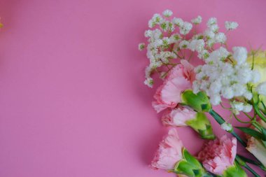 Üzerinde pembe gül tomurcukları olan üst görüntü, gypthe, huzurlu bir pastel arka planda mesaj, aşk ve romantik konsept için metin alanı ile birlikte.