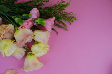 Üzerinde pembe gül tomurcukları olan üst görüntü, gypthe, huzurlu bir pastel arka planda mesaj, aşk ve romantik konsept için metin alanı ile birlikte.