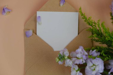 Üzerinde pembe gül tomurcukları olan üst görüntü, gypthe, huzurlu bir pastel arka planda mesaj, aşk ve romantik konsept için metin alanı ile birlikte.