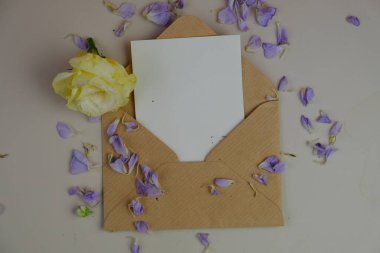 Sade arka planda güzel kırmızı güller, üst manzara. Metin için boşluk