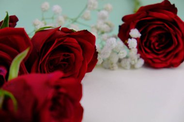 Sade arka planda güzel kırmızı güller, üst manzara. Metin için boşluk