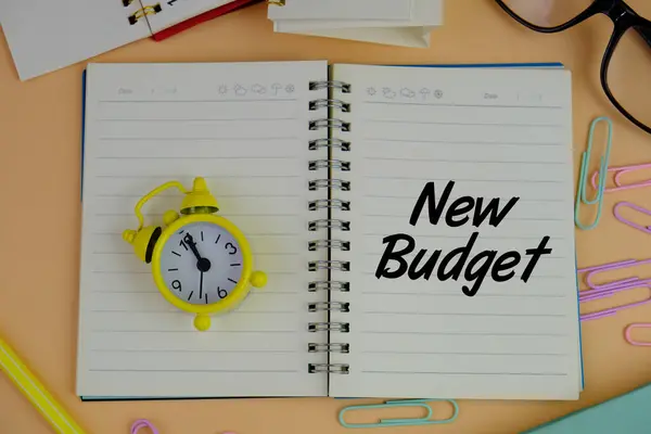 Yeni yıl konsepti olarak not defterine 2025 bütçe, hedef ve devrim yazıldı.. 