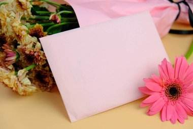 Üst görüntüde pembe gebera, huzurlu bir pastel arka planda mesaj, aşk ve romantik konsept için metin alanı var.